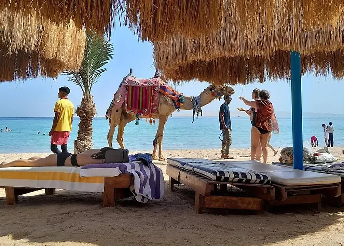 In Tiba Golden With Private Apartahotel Hurghada